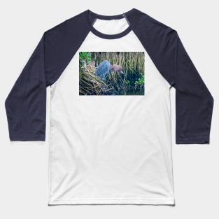 Shaggy Headed Reddish Egret Baseball T-Shirt